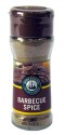 Robertsons Barbecue Spice 100ml